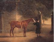 John Ferneley Mr Wombell's Hunter with a Groom in a Courtyard USA oil painting artist